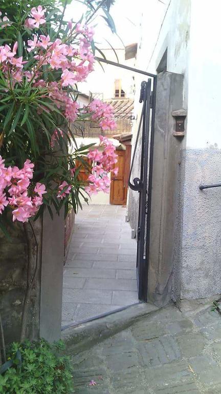 Ferienwohnung Casa Traquandi Castiglion Fiorentino Exterior foto